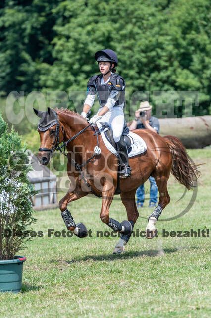 Goldene Schärpe 2021 - Ponys