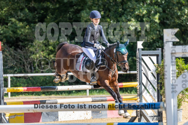 RFV Dinslaken-Hiesfeld (Herbstturnier)