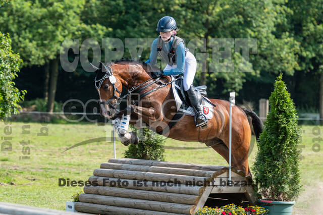 Goldene Schärpe 2021 - Ponys