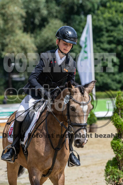 Goldene Schärpe 2021 - Ponys