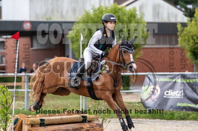 Late-Entry-Vielseitigkeit Langenfeld (06.+07.07.2020)