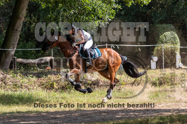 Late-Entry Vielseitigkeit Hamminkeln/Wesel (01.+02.08.2020)