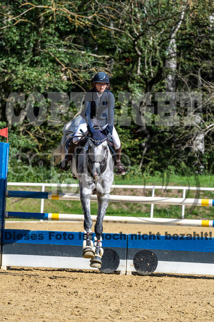 RFV Dinslaken-Hiesfeld (Herbstturnier)