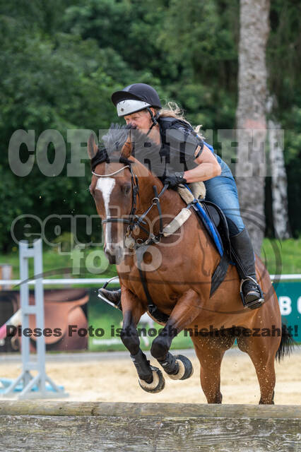 Hunter Geländetraining 10.07.2021 (Sonsbeck)