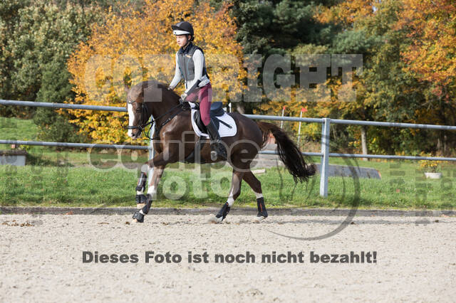 IGV Lehrgang der Sieger der Cups mit Frank Ostholt