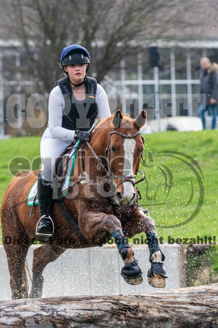 Goldene Schärpe 2020 - Pferde