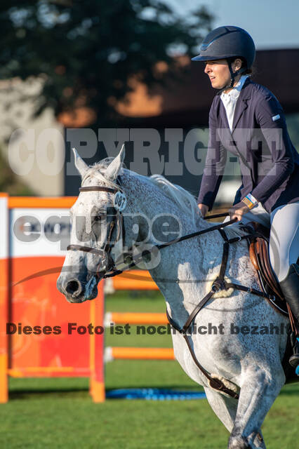 De Peelbergen (August 2020)