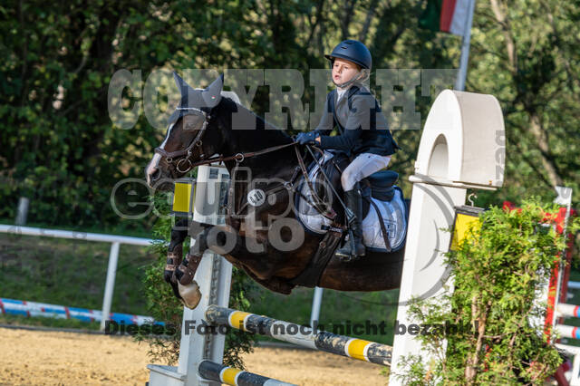 RFV Dinslaken-Hiesfeld (Herbstturnier)
