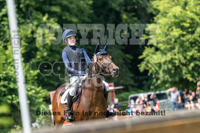 Goldene Schärpe 2021 - Ponys