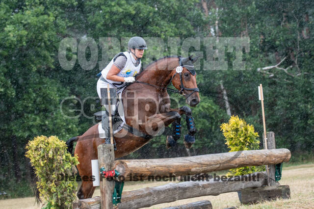 Late-Entry Vielseitigkeit Hamminkeln/Wesel (01.+02.08.2020)