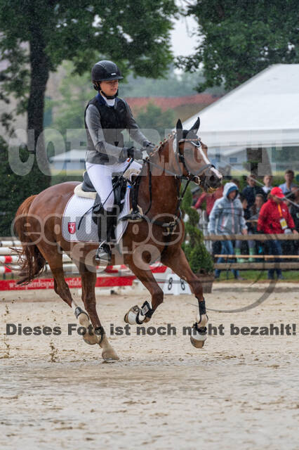 Goldene Schärpe 2021 - Ponys