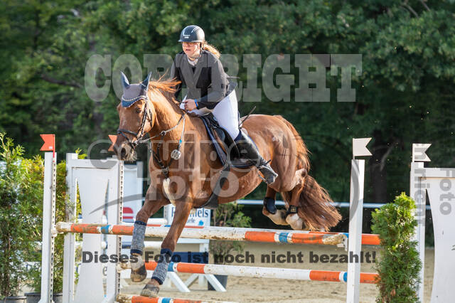 RFV Dinslaken-Hiesfeld (Herbstturnier)