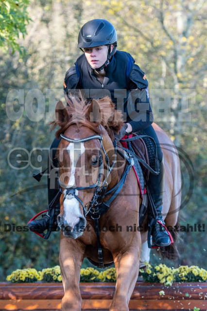 Vielseitigkeitslehrgang mit Jürg Kurbel (9.+10.11.2019)