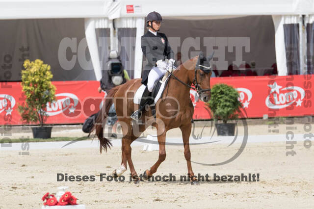 FEI European Championship Eventing 2017