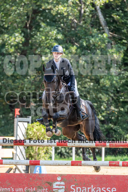 RFV Dinslaken-Hiesfeld (Herbstturnier)