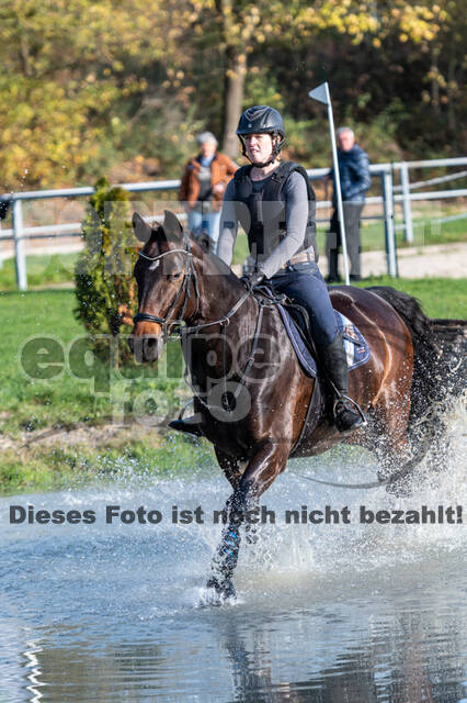 IGV Lehrgang der Sieger der Cups mit Frank Ostholt
