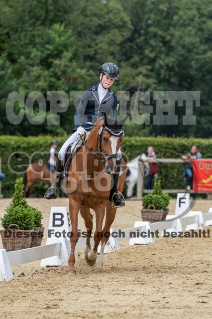 Goldene Schärpe 2021 - Ponys