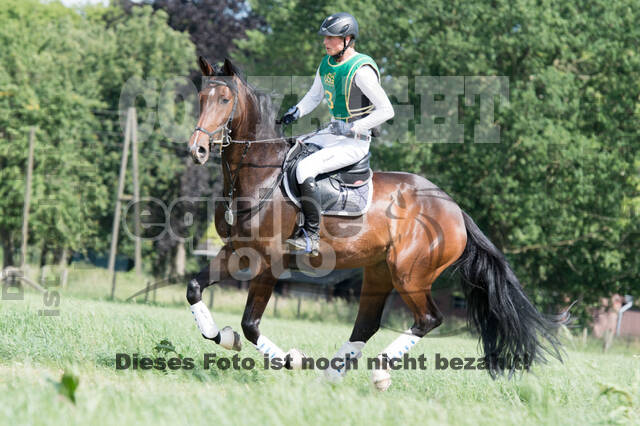 Vielseitigkeitsturnier ZRuFV von Lützow Hamminkeln