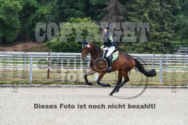 Late-Entry-Vielseitigkeit Langenfeld (11.+13./14.06.2020)