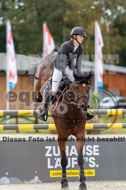 Deutsche Meisterschaft Vielseitigkeit (Luhmühlen)