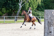 Late-Entry-Vielseitigkeit Langenfeld (11.+13./14.06.2020)