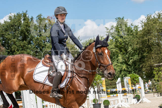 Landesturnier Rheinland, Vielseitigkeit, 22.+23.08.2020