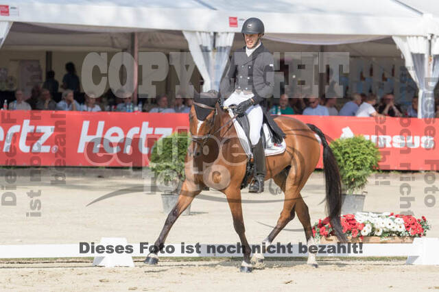 FEI European Championship Eventing 2017