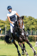 Kronenberg - De Peelbergen (August 2020)