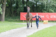 FEI European Championship Eventing 2017