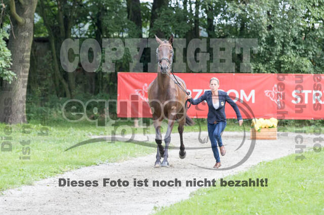 FEI European Championship Eventing 2017