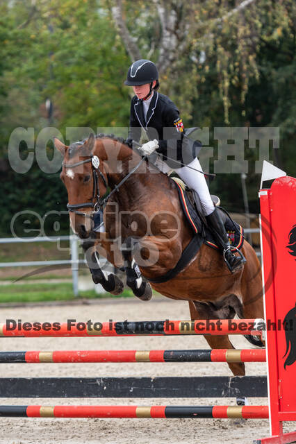 Goldene Schärpe 2020 - Pferde