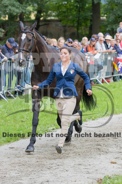FEI European Championship