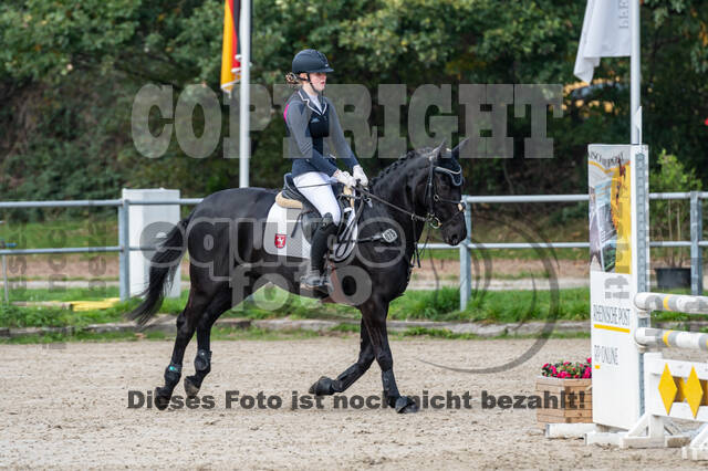 Goldene Schärpe 2020 - Pferde