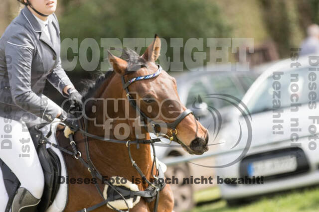 Frühjahrsvielseitigkeit RV Seydlitz Kamp