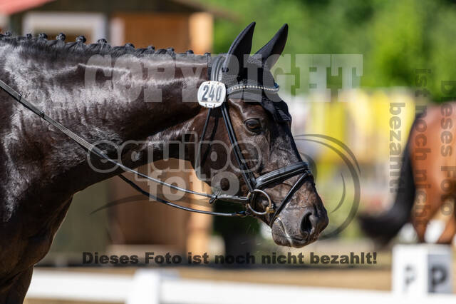 Westerstede Horse Trials 2021
