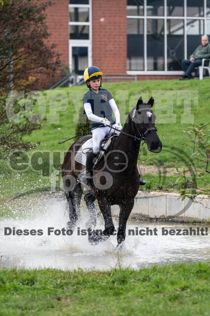 Goldene Schärpe 2020 - Pferde