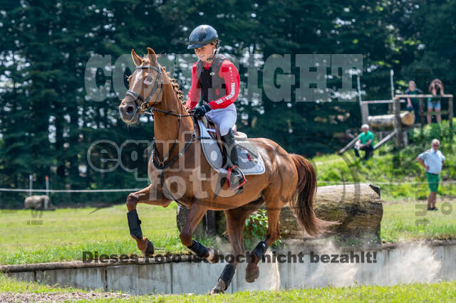 Goldene Schärpe 2021 - Ponys