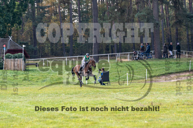 Deutsche Meisterschaft Vielseitigkeit (Luhmühlen)