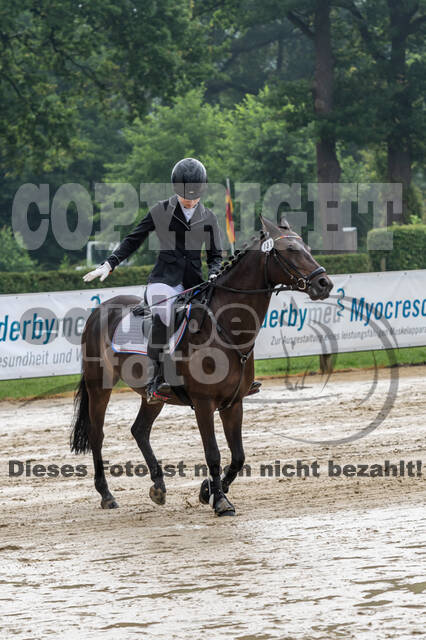 Goldene Schärpe 2021 - Ponys