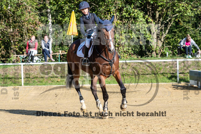 RFV Dinslaken-Hiesfeld (Herbstturnier)