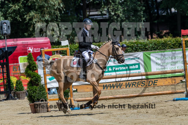 Goldene Schärpe 2021 - Ponys