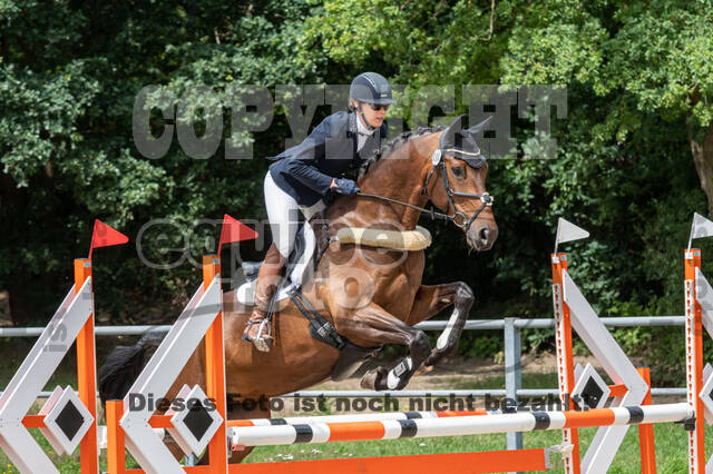 Late-Entry-Vielseitigkeit Langenfeld (06.+07.07.2020)