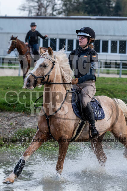 IGV Lehrgang der Sieger der Cups mit Frank Ostholt