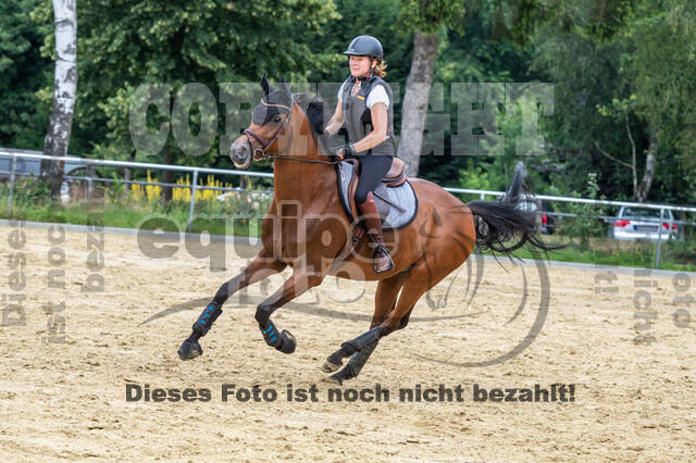 Hunter Geländetraining 10.07.2021 (Sonsbeck)