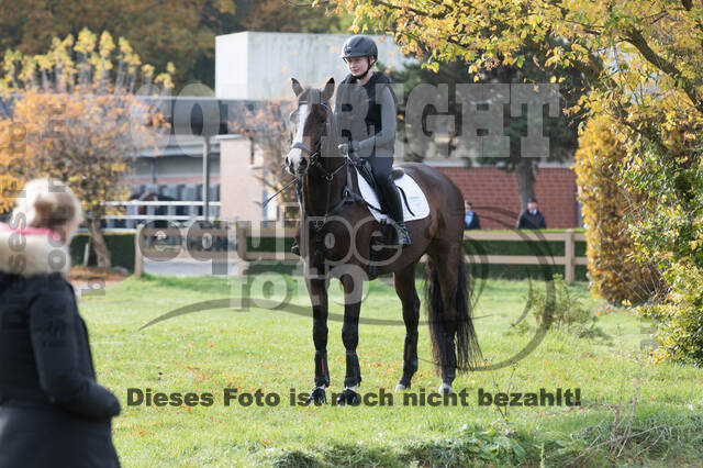 IGV Lehrgang der Sieger der Cups mit Frank Ostholt