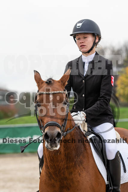 Goldene Schärpe 2020 - Pferde