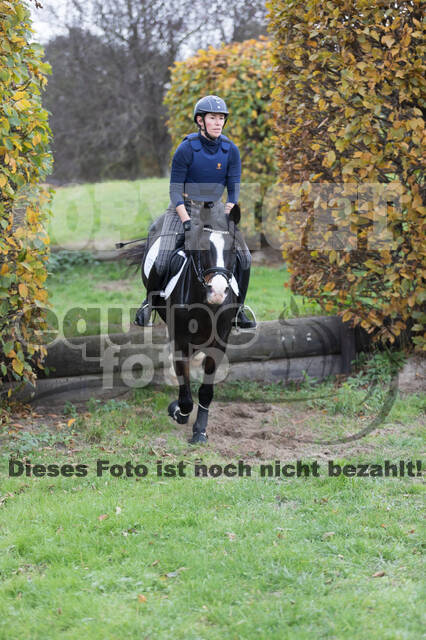 IGV Lehrgang der Sieger der Cups mit Frank Ostholt