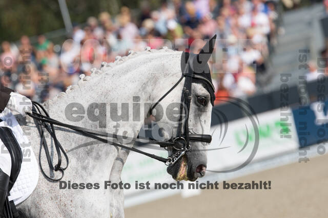 FEI European Championship Eventing 2019