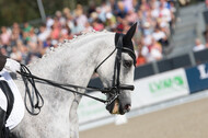 FEI European Championship Eventing 2019