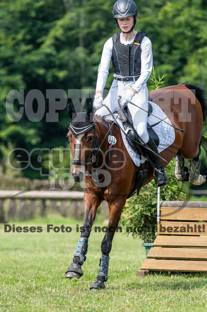 Goldene Schärpe 2021 - Ponys